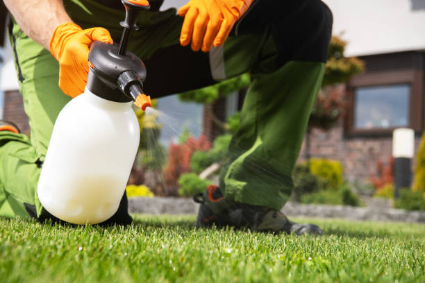 Seasonal Pest Control in Wrightstown, WI